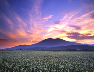 ����Τ��ī