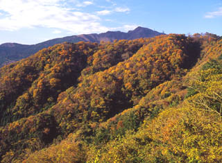 �٤�������