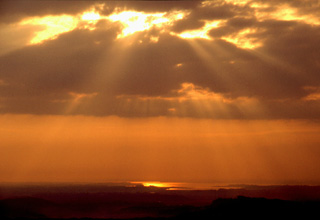 �������������